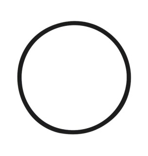 Oring 65x3