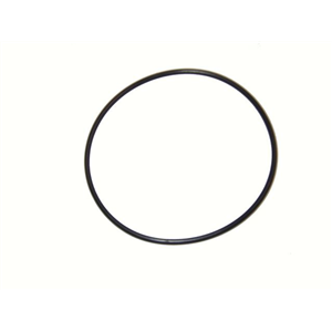 Oring 100X3