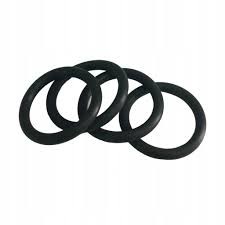 Oring 168x10