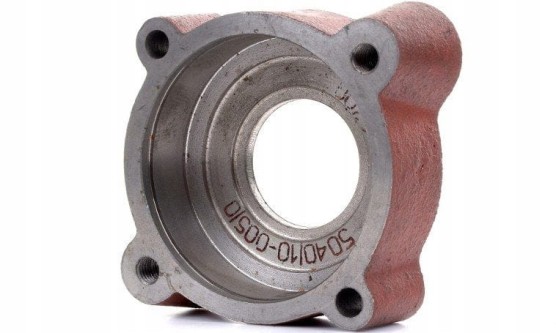 Oprawa łożyska 100 mm odrzutnika Bizon 5040100050