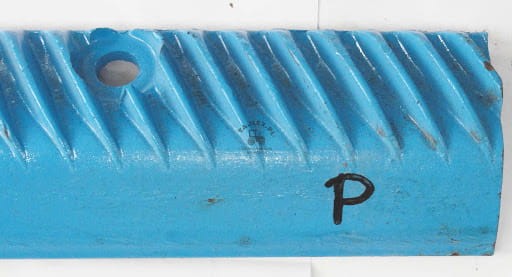 Cep prawy Bizon polski  505060014