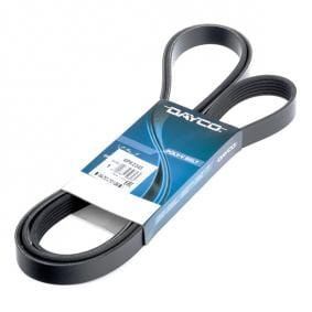 Pas 8PK1430 8 żeber dayco