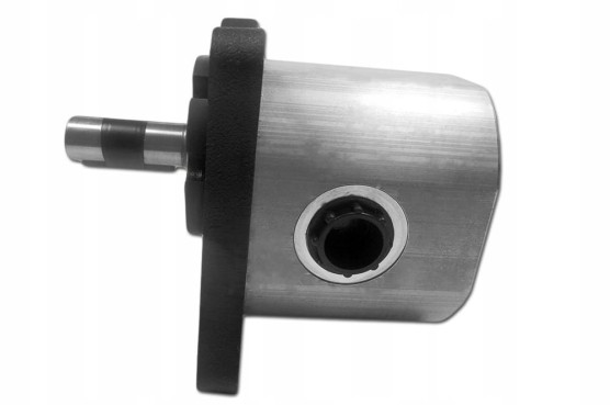Pompa hydrauliczna troll Hylmet PZ2KZ25P 31,0 l/min 7274065010 Hylmet