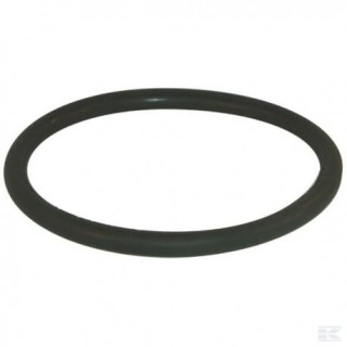 Oring 73x3