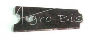 Stalka gładka Bizon