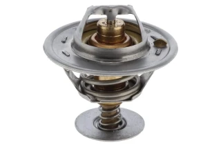 Termostat Bizon sw 400 turbo TV-28.82 2485613
