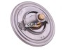 Termostat SW400 Bizon POLMO 323378P.jpg