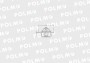 Termostat SW400 Bizon POLMO 323378P1.jpg