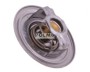 Termostat SW400 Bizon POLMO 323378P2.jpg
