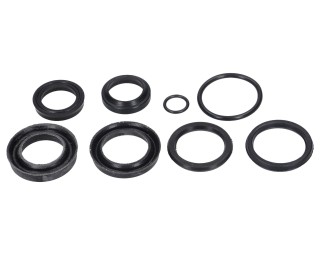 Zestaw uszczelnień F373; siłownik wysuwu motowideł 40/22/250; bizon; K-373 F-373