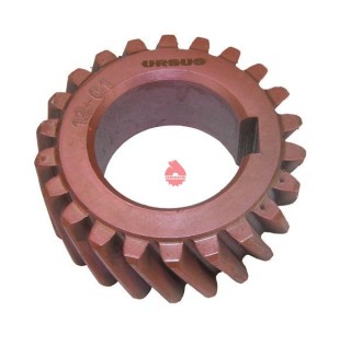 Koło zębate rozrządu na wał korbowy C-360 Oryginał  Ursus 50503060