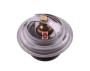 Termostat C-385 6-cylindrowy ORYGINAŁ URSUS 89005904U.3.jpg