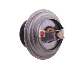 Termostat Forterra Zetor Oryginał Ursus 70011316 78005077U