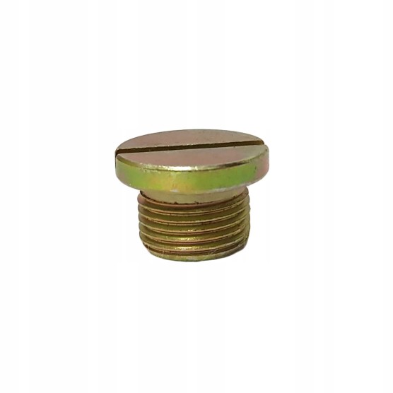 Korek m18x1,5 kanału olejowego bloku  C-360 50501270