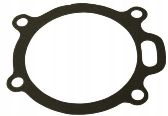 Uszczelka pompy wody MF-4 36866721