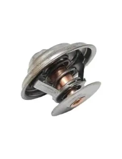 Termostat Zetor forterra 78005077 TV-165.80 TV16580 Produkt Polski
