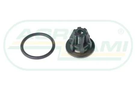 Zawór pompy opryskiwacza zeta 85/100 4015600301 600601
