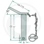 20012861.1.jpg