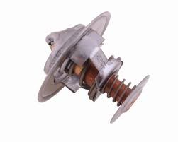 Termostat Case Polmo 218039A1