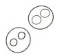 LC00-0803.webp