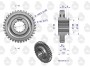 50419510U_0.jpg