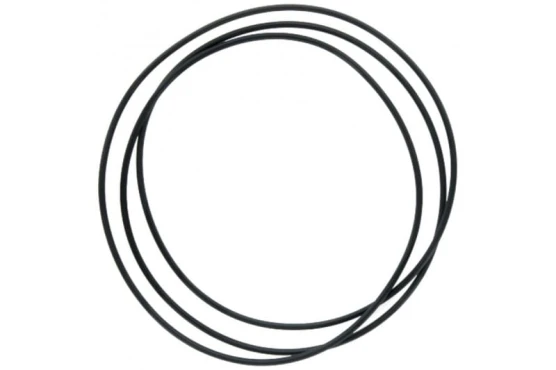 Oring sprzęgła Dynashift MF 304,39x3,53 378293X1
