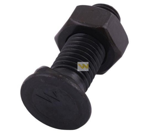 Śruba płużna 2 noski M10x30 mm kl.10.9 z nakrętką  zastosowanie Gruber Waryński