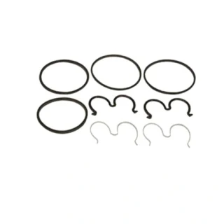 Zestaw naprawczy pompy hydraulicznej Massey Ferguson Fendt landini 3100439M91 F279940050040