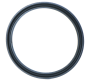 CB12-186_pierscien-uszczelniajacy-tlok-podnosnika-un-67-2x80-8x6-2-c-360-50548500-simmer.png