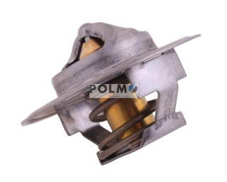Termostat landini Case Polmo 895311H1