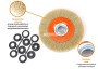 T-W-SDIT029_2.jpg