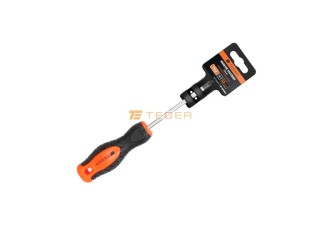 Wkrętak krzyżowy ph 2x100mm /TEGER T-W-WKK003