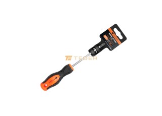 Wkrętak krzyżowy ph 1x100mm /TEGER T-W-WKK002