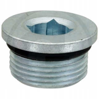 Korek M30x2 imbus RE49301