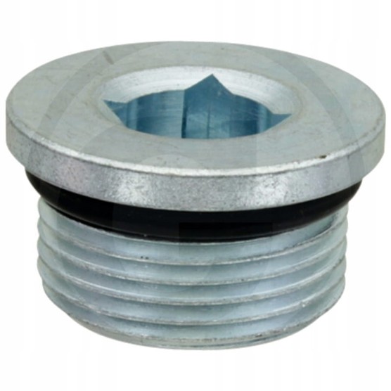 Korek M30x2 imbus RE49301