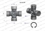 WR219901.1.jpg