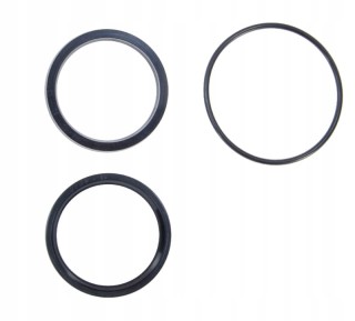 Zestaw uszczelnień podnoszenia hederu Bizon Stary typ F-163