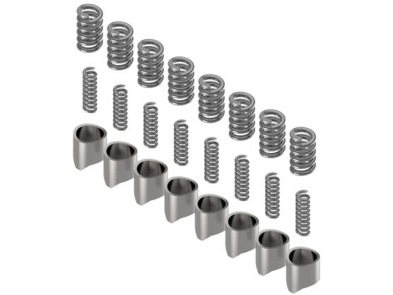 Zestaw naprawczy sprzęgła grzechotki gwiadzistej Walterscheid