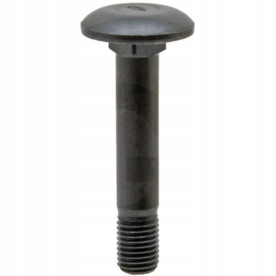 Śruba Z łbem grzybkowym M16x65 10.9 22044905