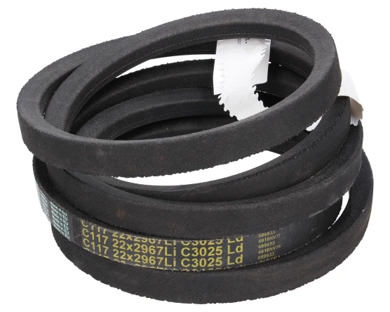 Pas C 2965 22x2965  Gates delta clasic 671013