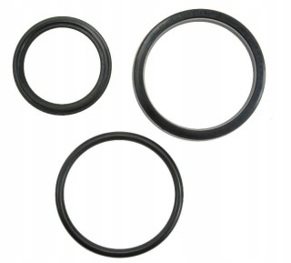 Zestaw uszczelnień przyczepy siłownika wywrotu nowy typ  D-732 F-261